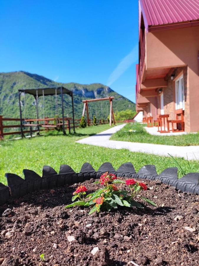 Guesthouse Madzarevic Plužine Dış mekan fotoğraf
