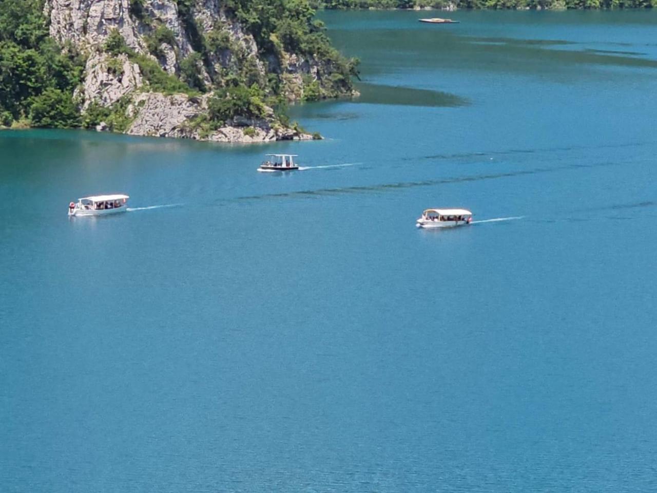 Guesthouse Madzarevic Plužine Dış mekan fotoğraf