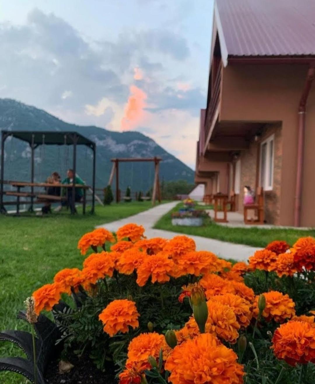 Guesthouse Madzarevic Plužine Dış mekan fotoğraf