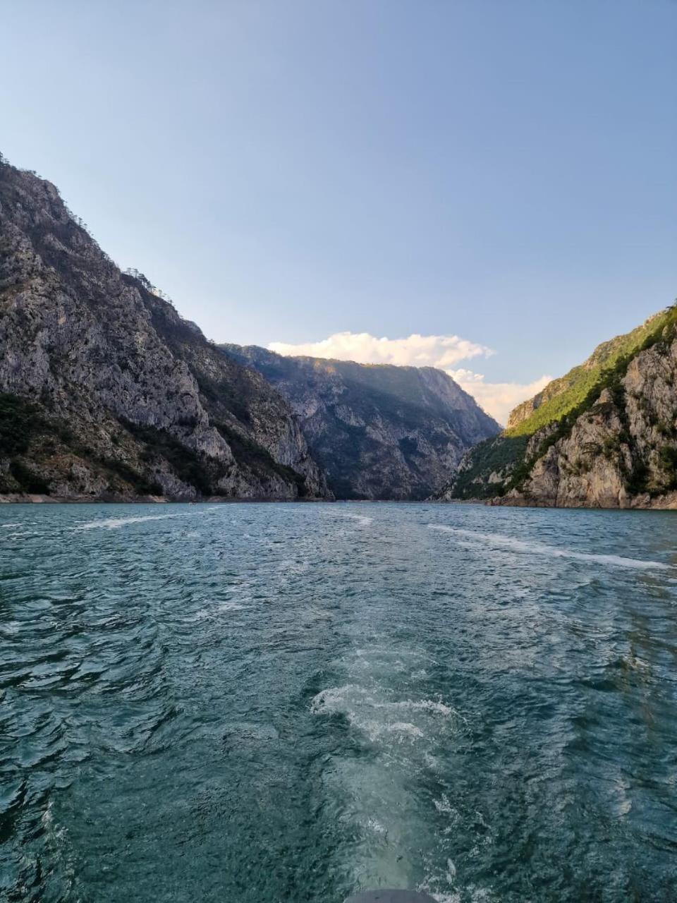 Guesthouse Madzarevic Plužine Dış mekan fotoğraf