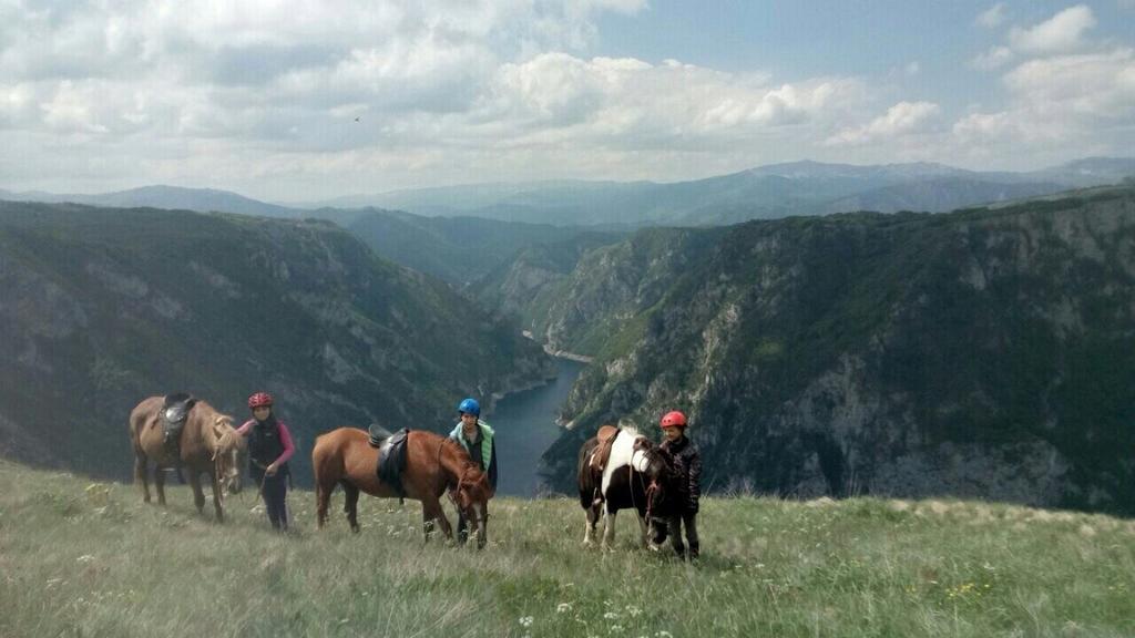 Guesthouse Madzarevic Plužine Dış mekan fotoğraf